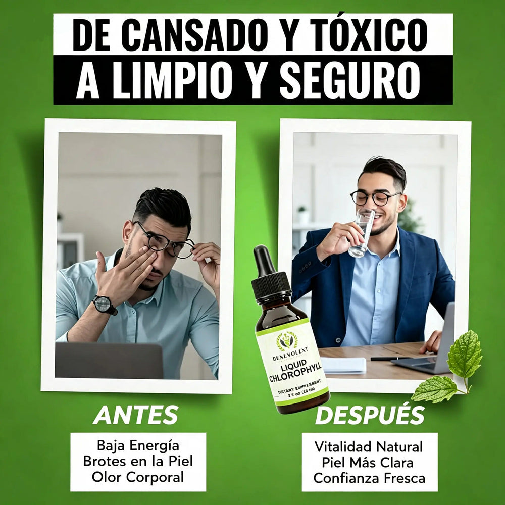 Beneficios de la clorofila líquida para la energía y digestión