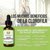 Ingredientes de las Gotas de Clorofila Líquida Benevolent